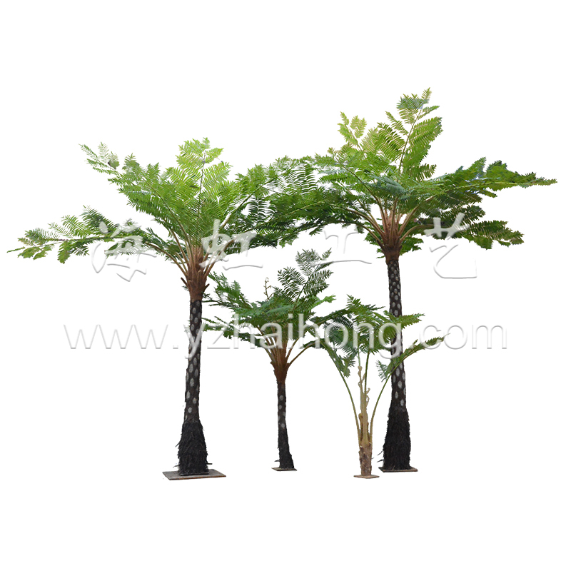 Tree ferns series
